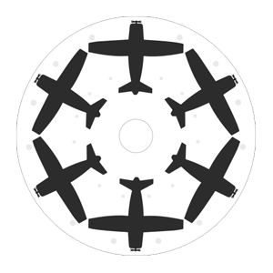 aerodisc ligna